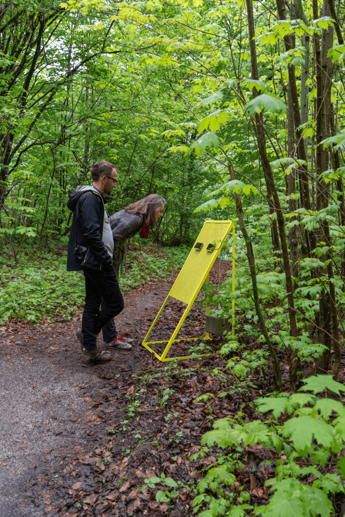Nathalie Koger, „Die Konferenz der Tiere, revisited. Opening 1 + 2“, 2021, Installationsansicht „Techno Scapes“, Foto: Lisa Truttmann