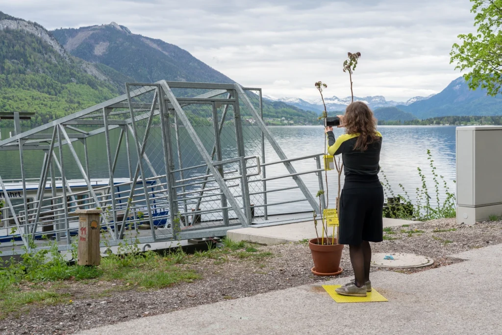 Marlies Pöschl, „Data Garden“, 2021, Installationsansicht „Techno Scapes“, Foto: Lisa Truttmann