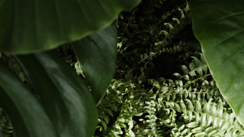 Katharina Swoboda / The Golden Pixel Cooperative, Filmstill aus „Indizien. Festival Trailer Diagonale ’22”, 2022