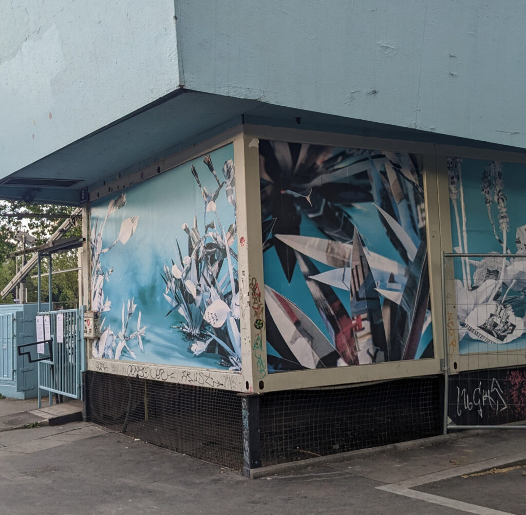 Pille-Riin Jaik „Communal Weeds“, 2023. Foto: Marlies Pöschl