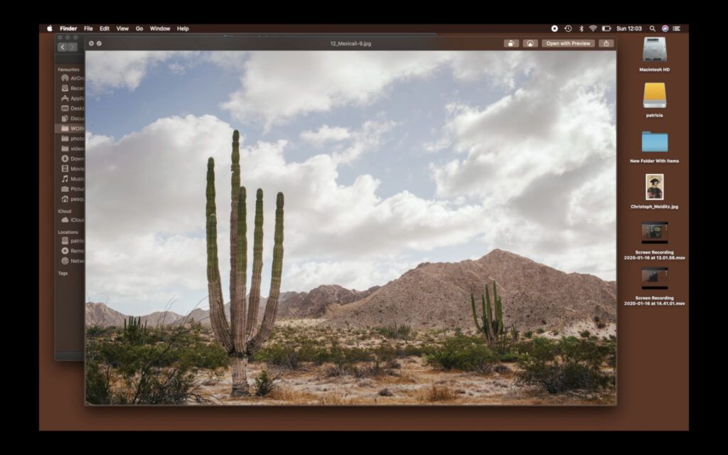 Patricia Esquivias, Filmstill aus „Cardón cardinal”, 2020