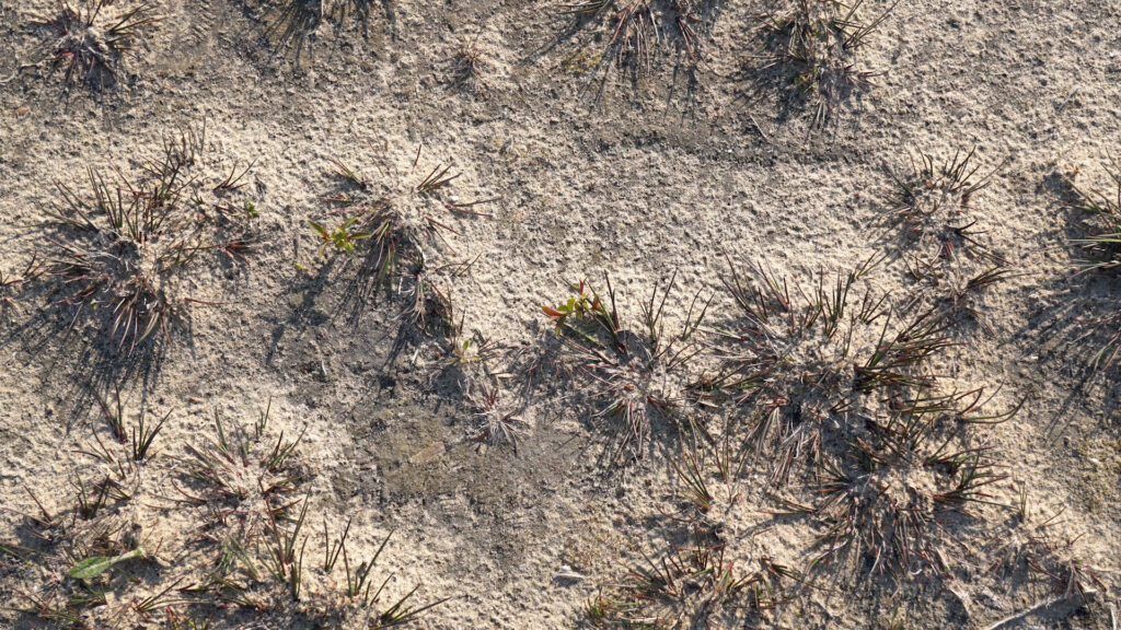 Hanna Rullman & Faiza Ahmad Khan, Filmstill aus „Habitat 2190”, 2019