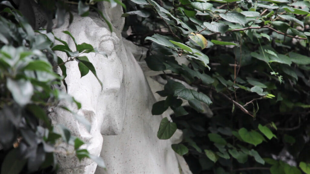 Lisa Truttmann, Filmstill aus „The Courser”, 2018