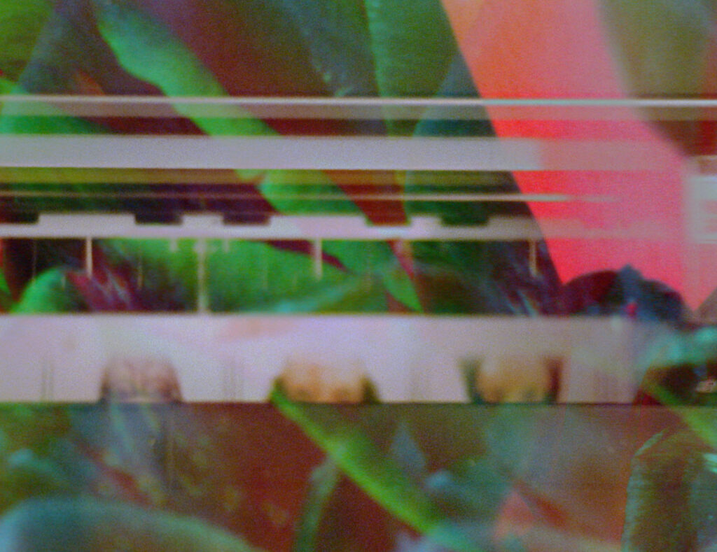 Salma Shamel, Filmstill aus „Those That Tremble as if They Were Mad”, 2017