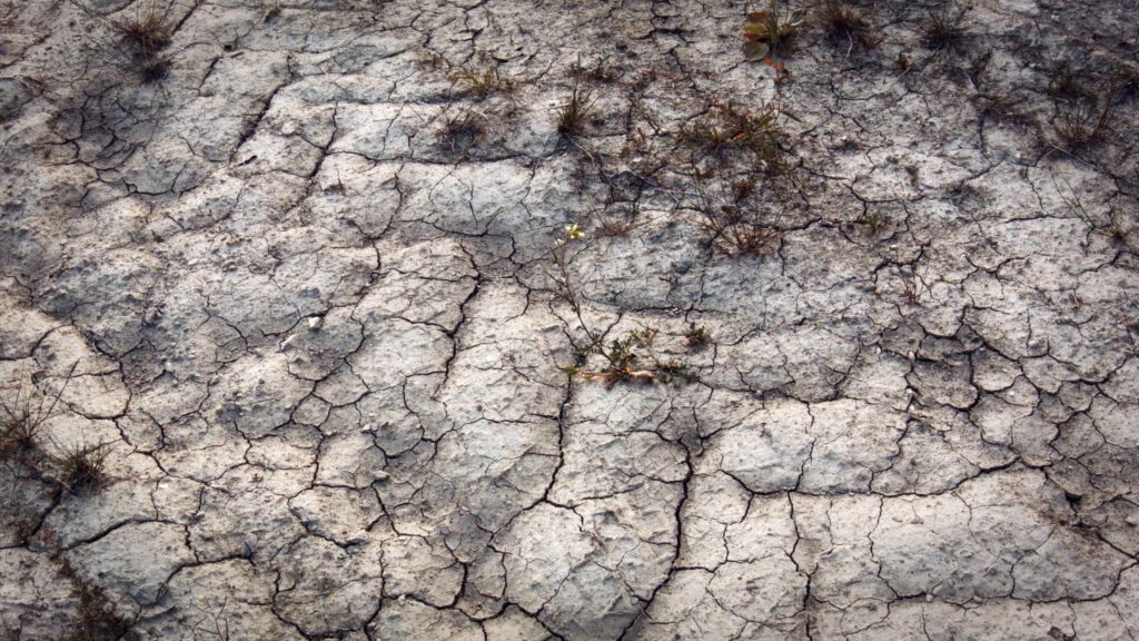 Pille-Riin Jaik, Filmstill aus „Xeroines”, 2020