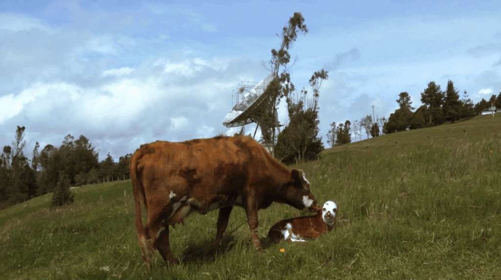 Calderón & Piñeros (La Decanatura), Filmstill aus "Centro Espacial Satelital de Colombia", 2015