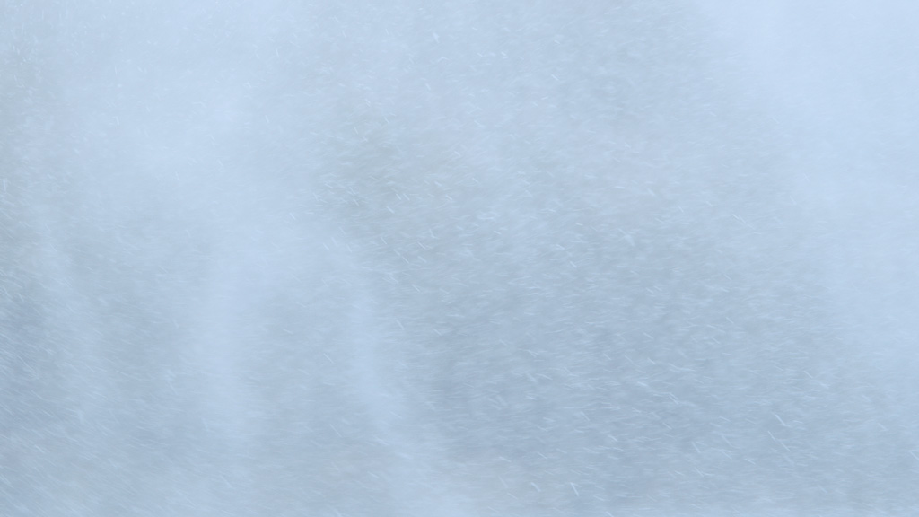 Simona Obholzer, Filmstill aus „-5°C 40% rF”, 2016–17