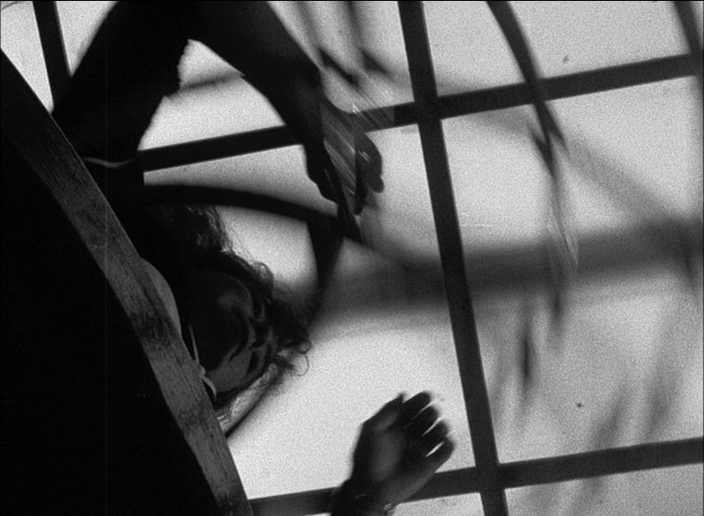 Nathalie Koger, Filmstill aus „Was Ausgestellt Wird”, 2008–12