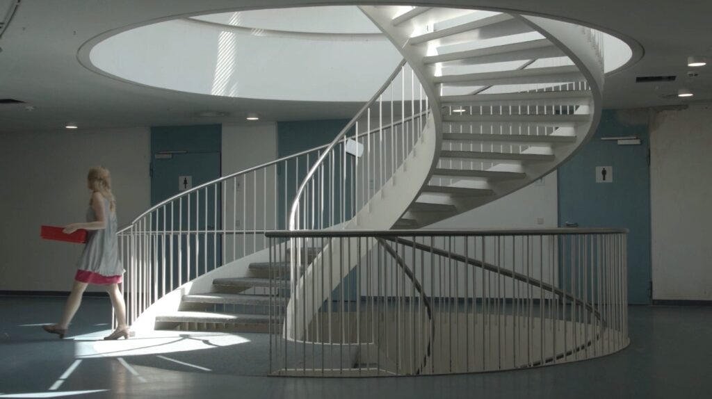 Nathalie Koger, Filmstill aus „Die Videokonferenz der Tiere“, 2022