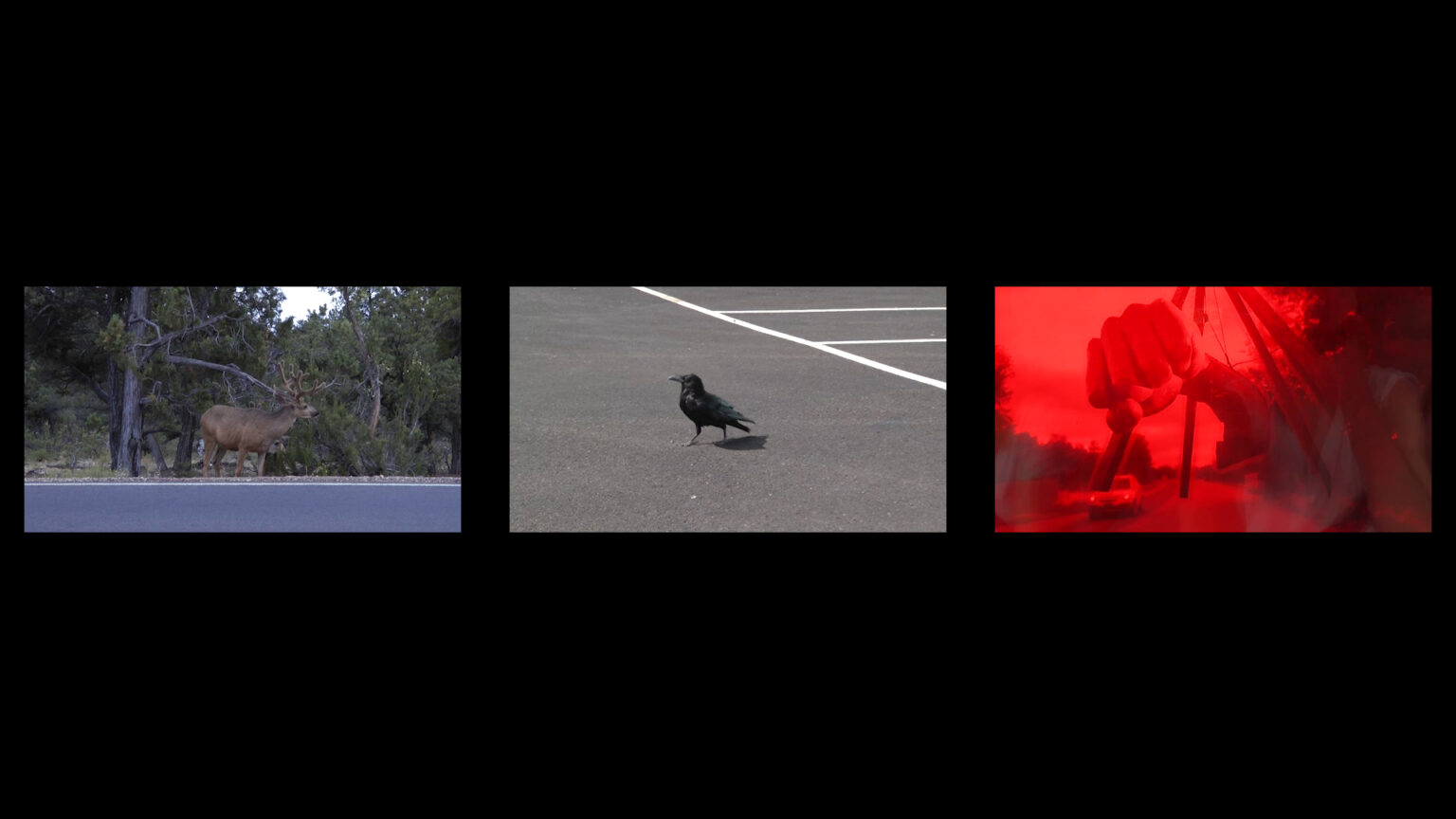 Eva Seiler & Johanna Tinzl, Filmstill aus „BEYOND FUTURE“, 2022