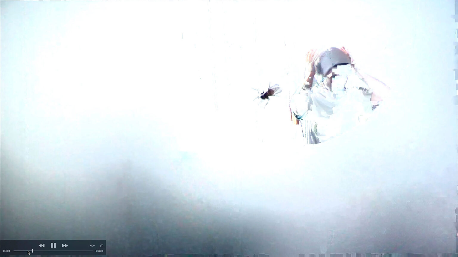 Iris Blauensteiner, Filmstill aus „die_anderen_bilder“, 2018