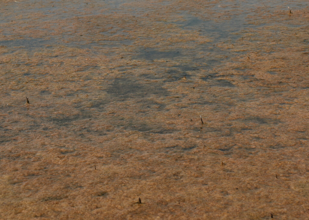 Kristina Leidenfrostova, Video Still aus "Our Last Hot Summer", Work in progress