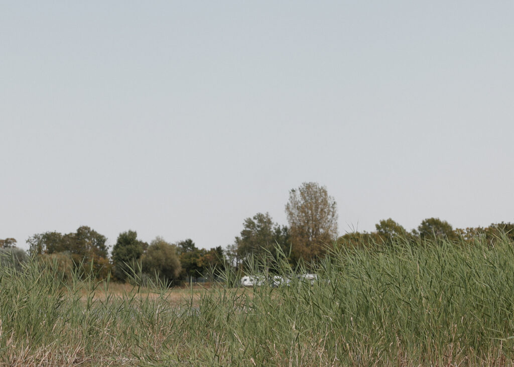 Kristina Leidenfrostova, Video Still aus "Our Last Hot Summer", Work in progress