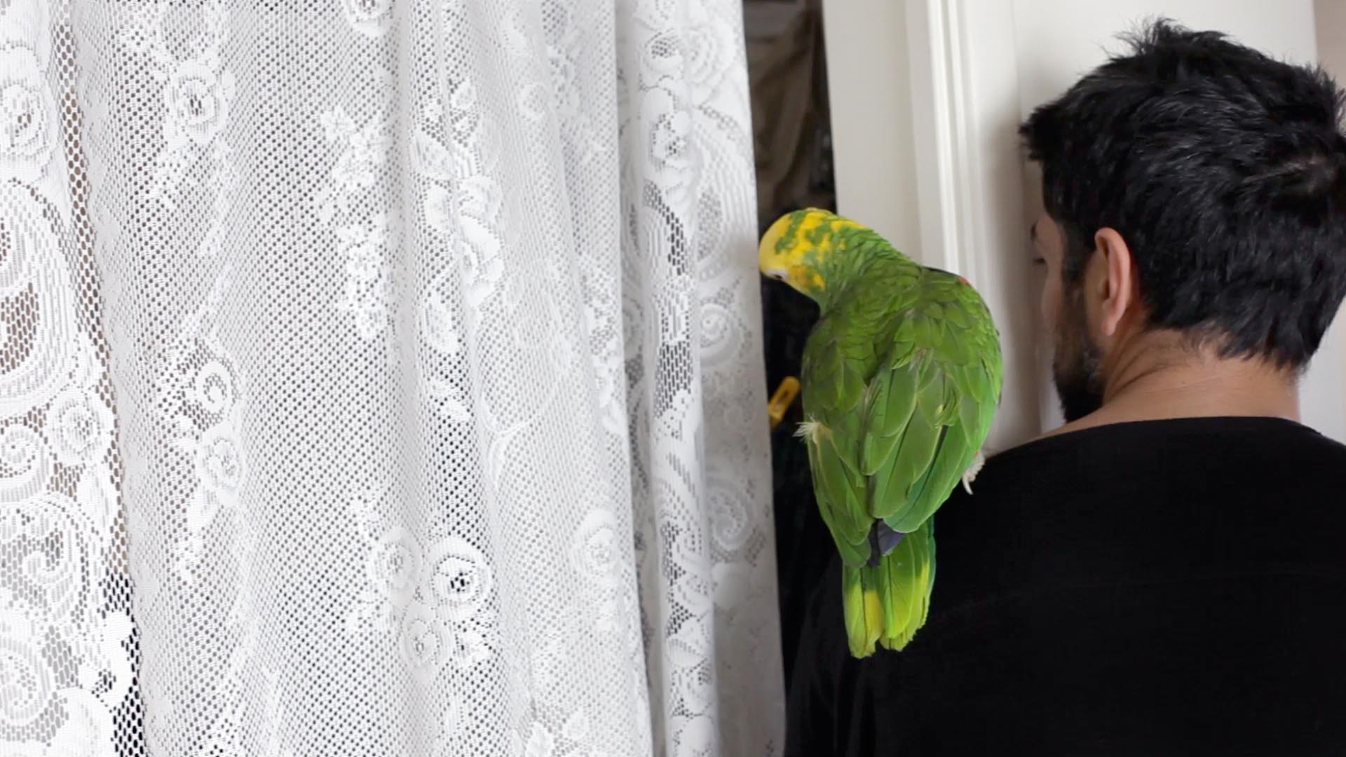 Lisa_Truttmann_Behrouz_Rae-BABASH Kopie