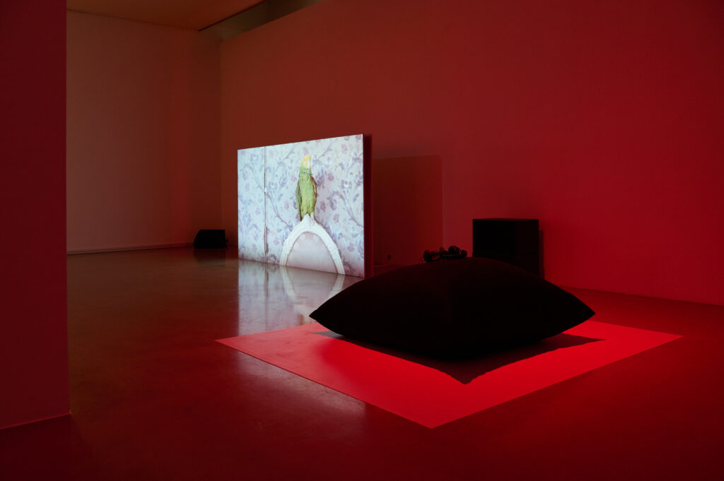 Ausstellungsansicht "Wake Words", Foto: Markus Gradwohl, Lisa Truttmann & Behrouz Rae: Babash, 2014