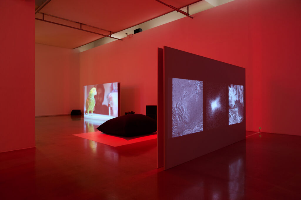 Ausstellungsansicht "Wake Words", Foto: Markus Gradwohl, Links: Rechts: Lisa Truttmann & Behrouz Rae: Babash, 2014, Rechts: Saadia Mirza: A Phenomenology of Iceberg Collisions, 2021