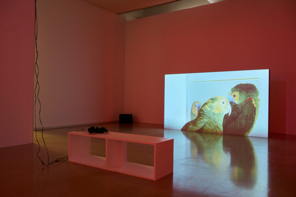 Ausstellungsansicht "Wake Words", Foto: Markus Gradwohl
Lisa Truttmann & Behrouz Rae: Babash, 2014