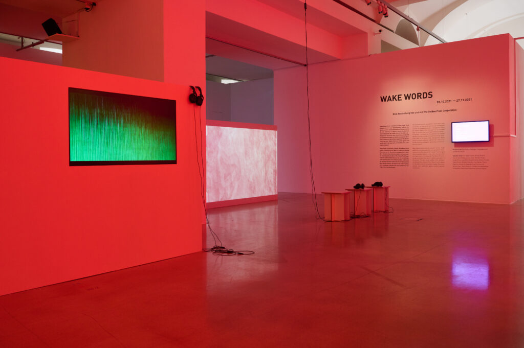 Ausstellungsansicht "Wake Words", Foto: Markus Gradwohl, Links: Joana Moll: Sound Collage in a Dark Room, 2009, Rechts: Olena Newkryta & Nana Thurner
Film Still, 2013