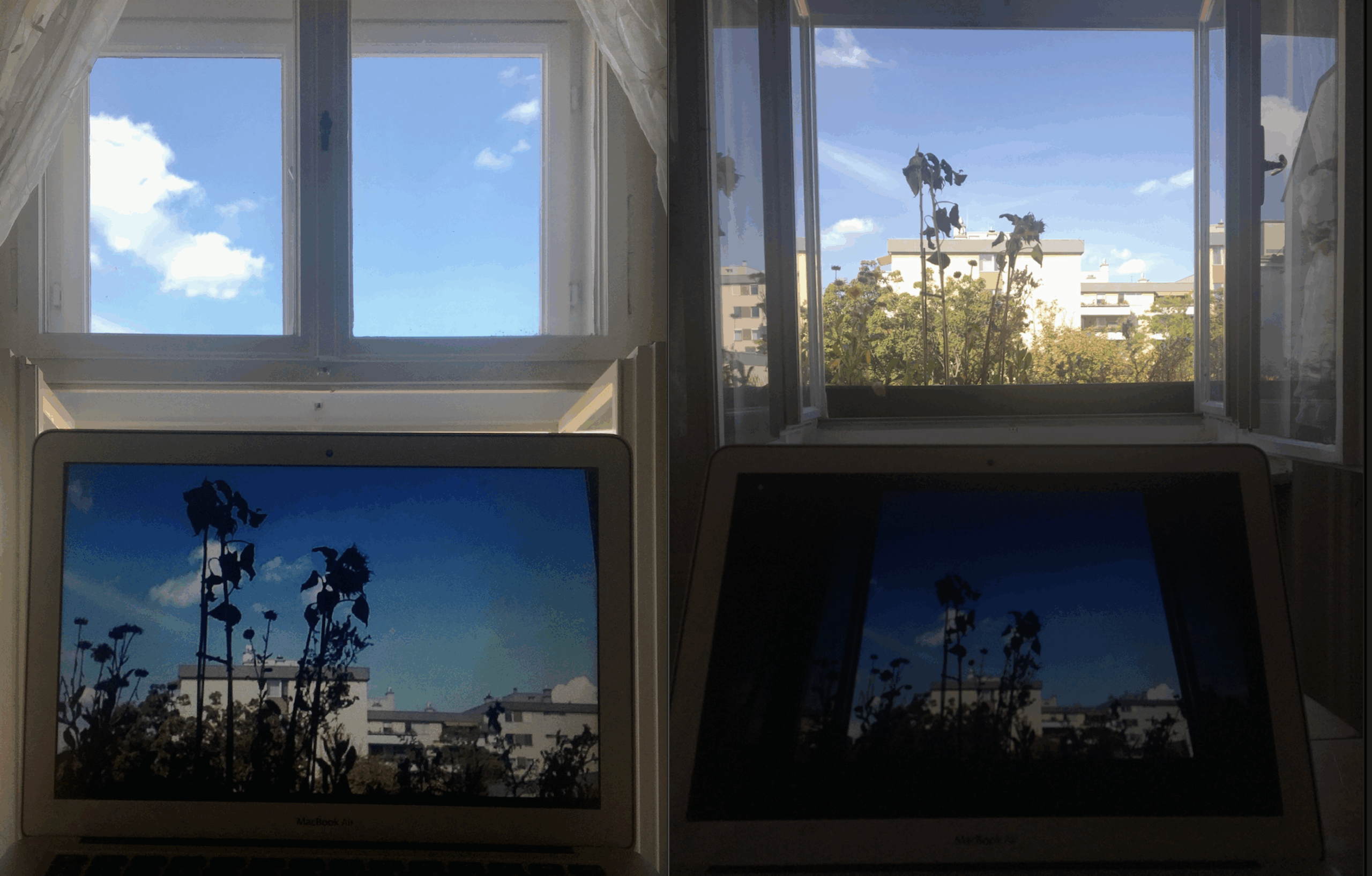 ProjectTheWindows 4windows