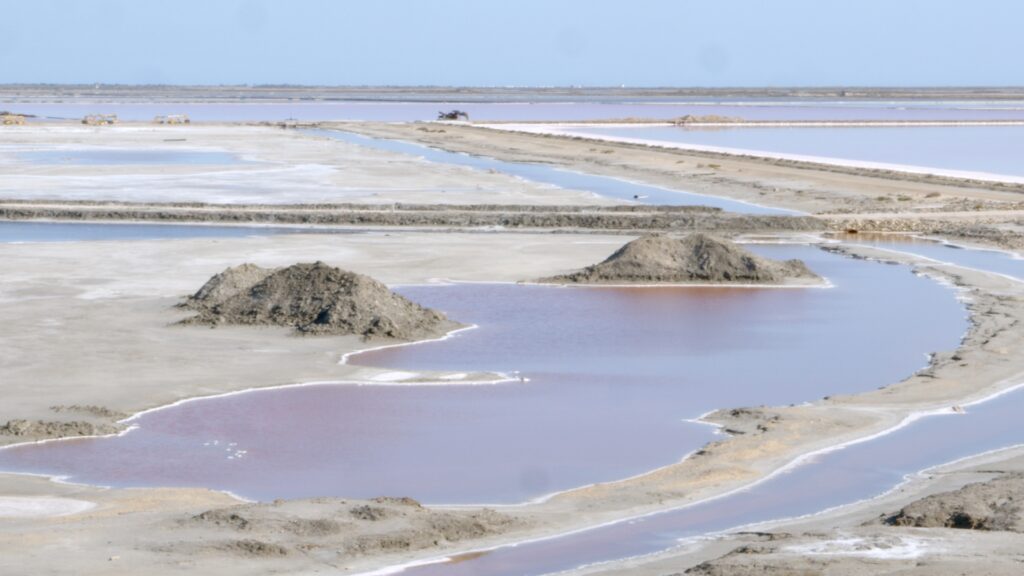 Kristina Cyan, Video Still aus "When I Become a Whale", 2024