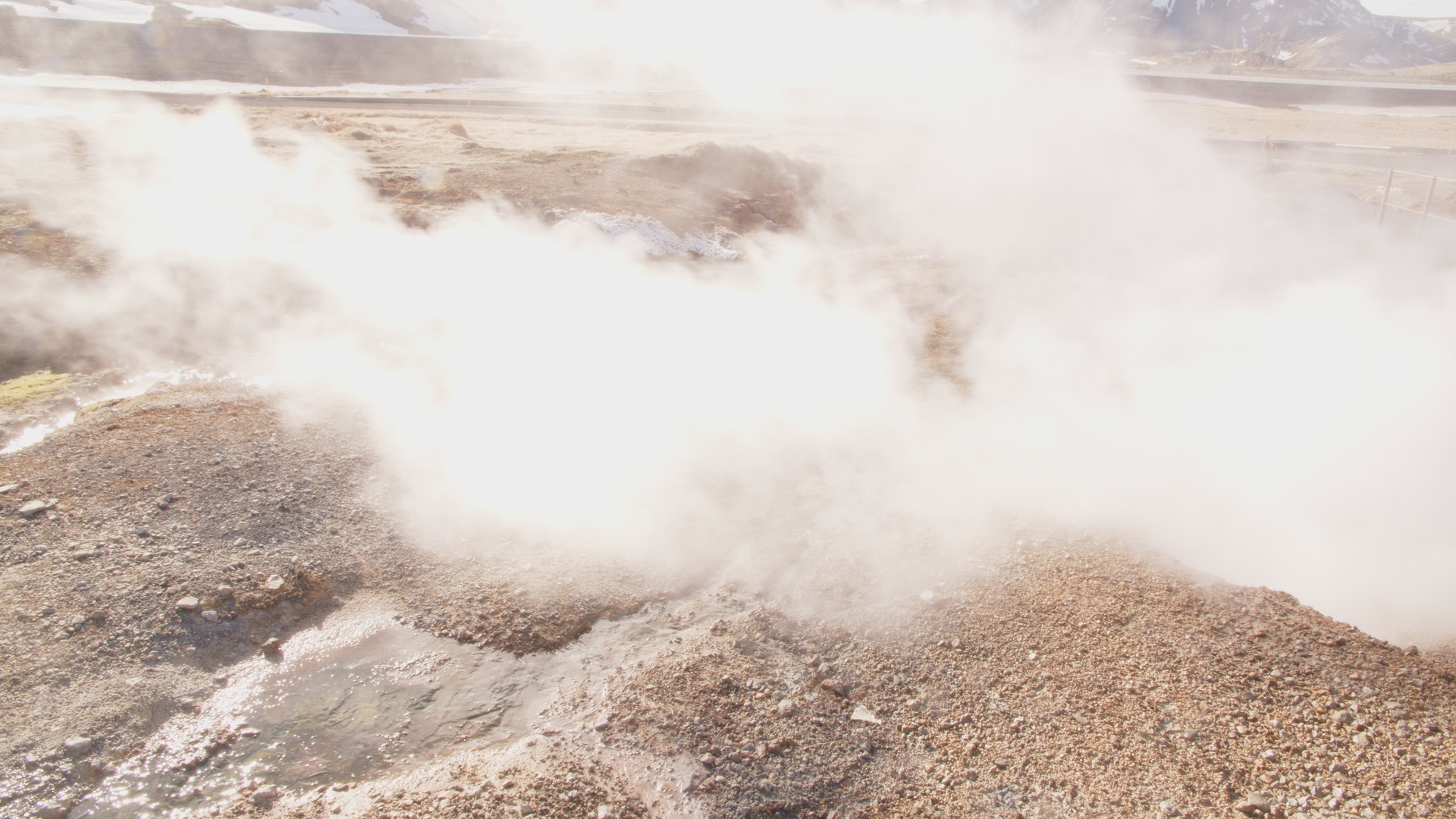 Kristina Cyan: When Kristina Cyan, Video Still aus " When I become a Whale", 2024