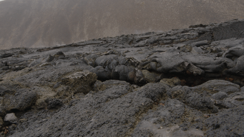 Kristina Cyan, Video Still aus "When I Become a Whale", 2024