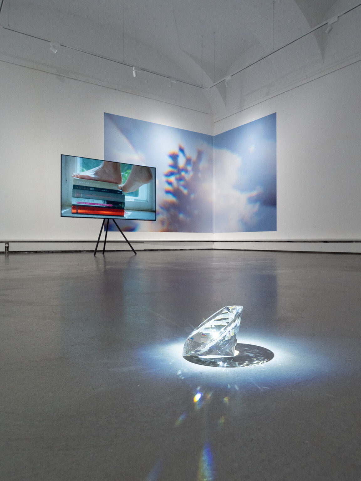 Miae Son, Ausstellungsansicht „The Magpie Foot Stands on Tiptoe“, Bildraum 01, 2022, Foto: Miae Son
