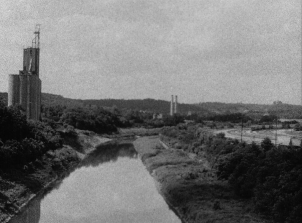 Nora Sweeney, Filmstill aus „Something Like Whales“, 2013