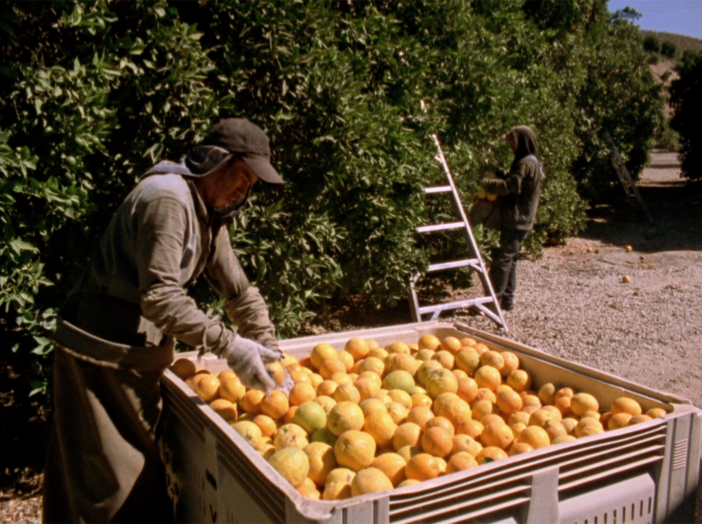 Nora Sweeney, Filmstill aus „Sweet Oranges“, 2014