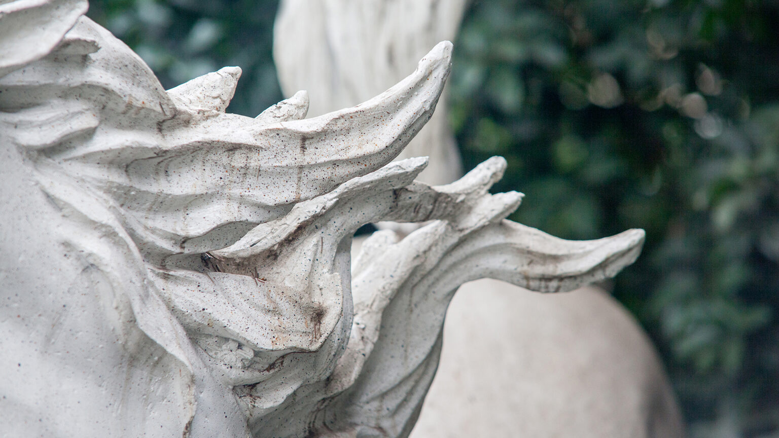 Lisa Truttmann, Filmstill aus „The Courser“, 2018