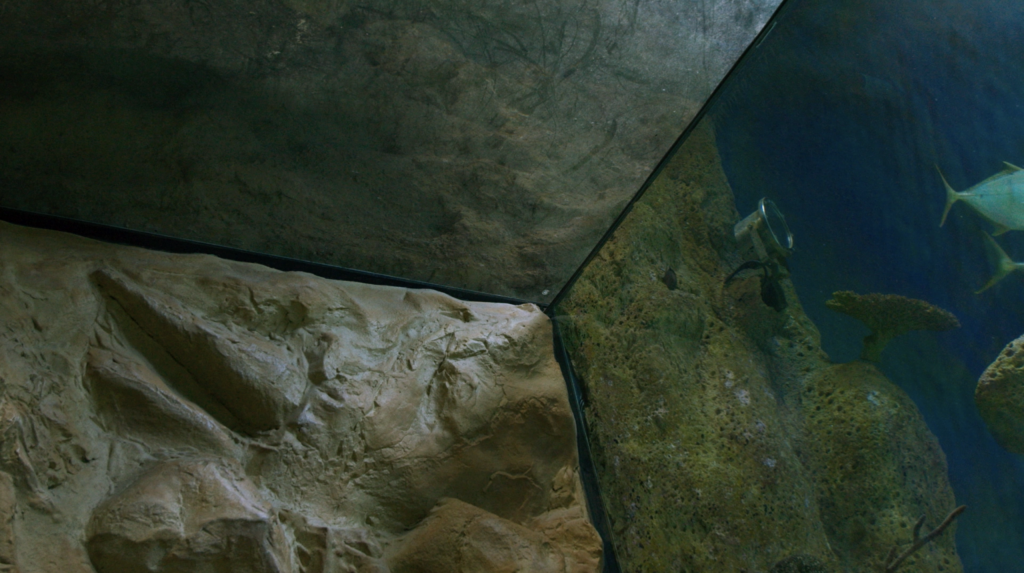 Enar de Dios Rodríguez, Filmstill aus „Liquid ground“, 2021