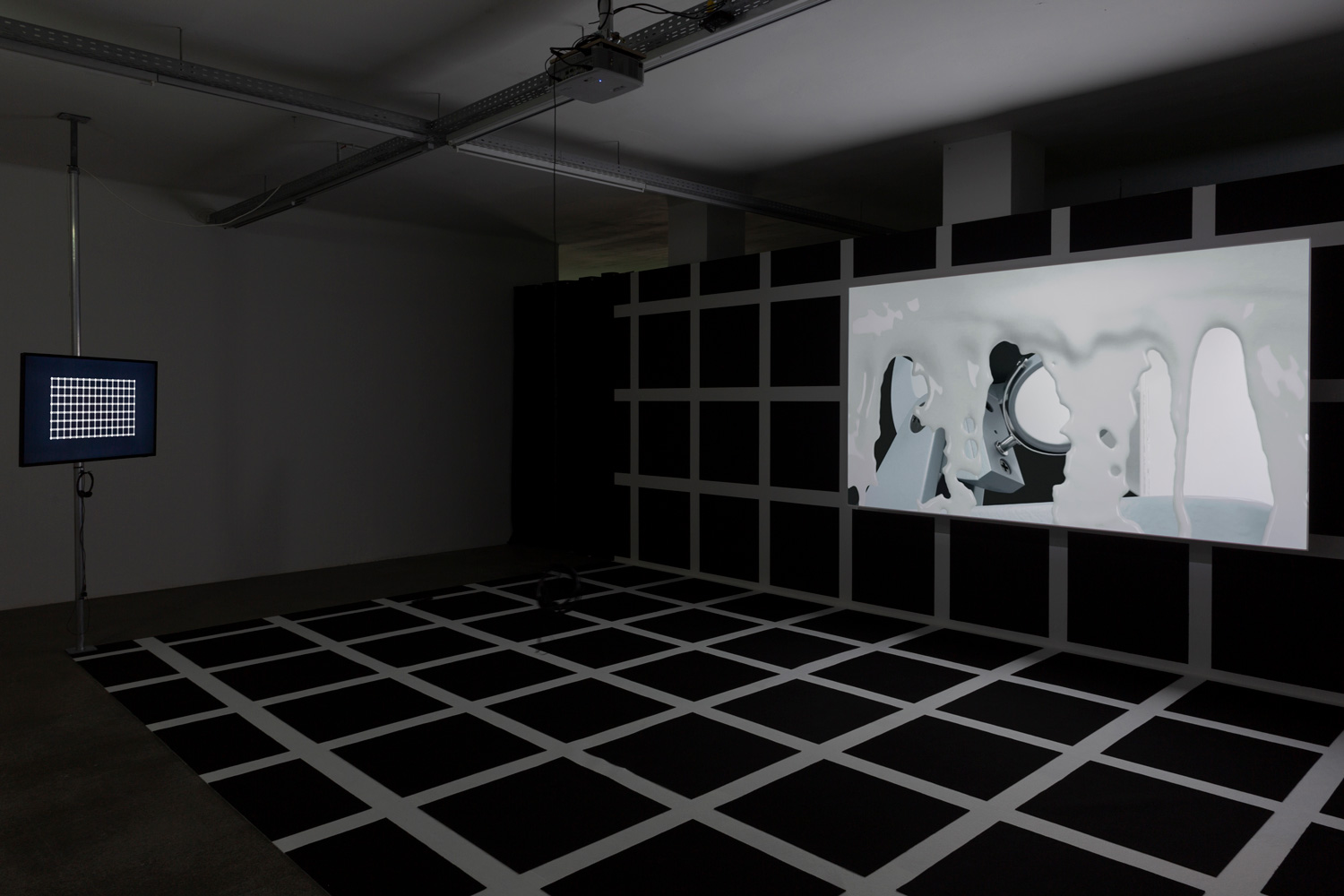 Enar de Dios Rodríguez, Installationsansicht „Ecotone“ Galerie 5020, Salzburg, 2023, Foto: Studio Fjeld