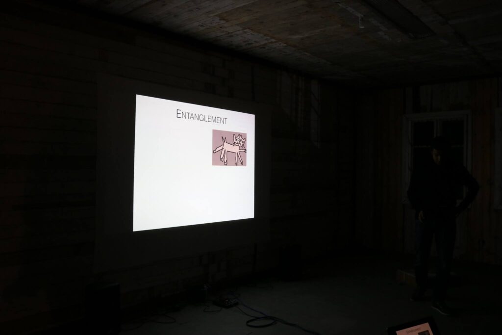 Vortrag, „Entangled Entanglement“, notgalerie Seestadt, 2017. Im Bild Präsentation von Mehul Malik. Foto: Nathalie Koger