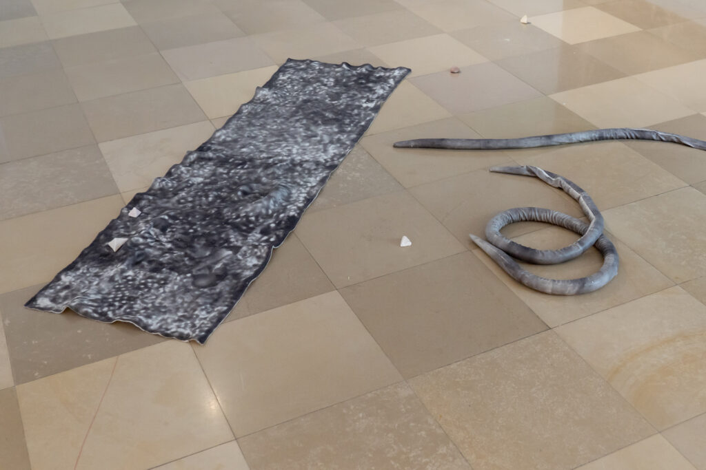 Ausstellungsansicht, „Big screens shatter easily“, Galerie Oberösterreichischer Kunstverein, 2019, Foto: Lisa Truttmann