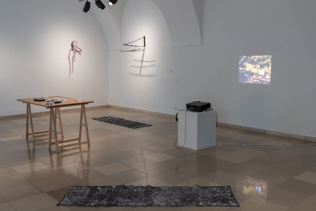 Ausstellungsansicht, „Big screens shatter easily“, Galerie Oberösterreichischer Kunstverein, 2019, Foto: Lisa Truttmann