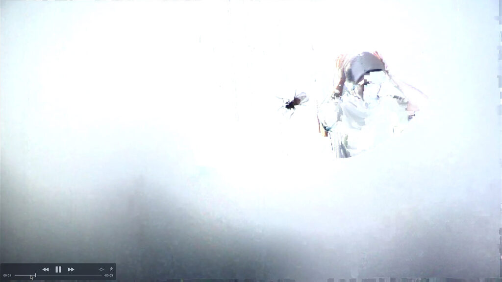 Iris Blauensteiner, Filmstill aus „die_anderen_bilder“, 2018