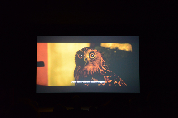 Screening, „Ascan Breuer / Dokumentarisches Labor“, Blickle Kinio, 216. Ascan Breuer, „Trilogi Jawa I-III“. Foto: unbekannt