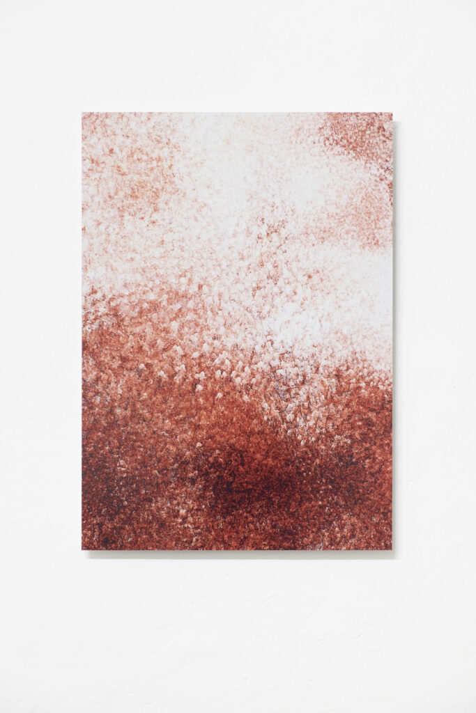 Ausstellungsansicht, „Frozen Frame / Turning Frame“, Pinacoteca, Wien, 2015. Katharina Swoboda, „xx“. Foto: Thomas Ries