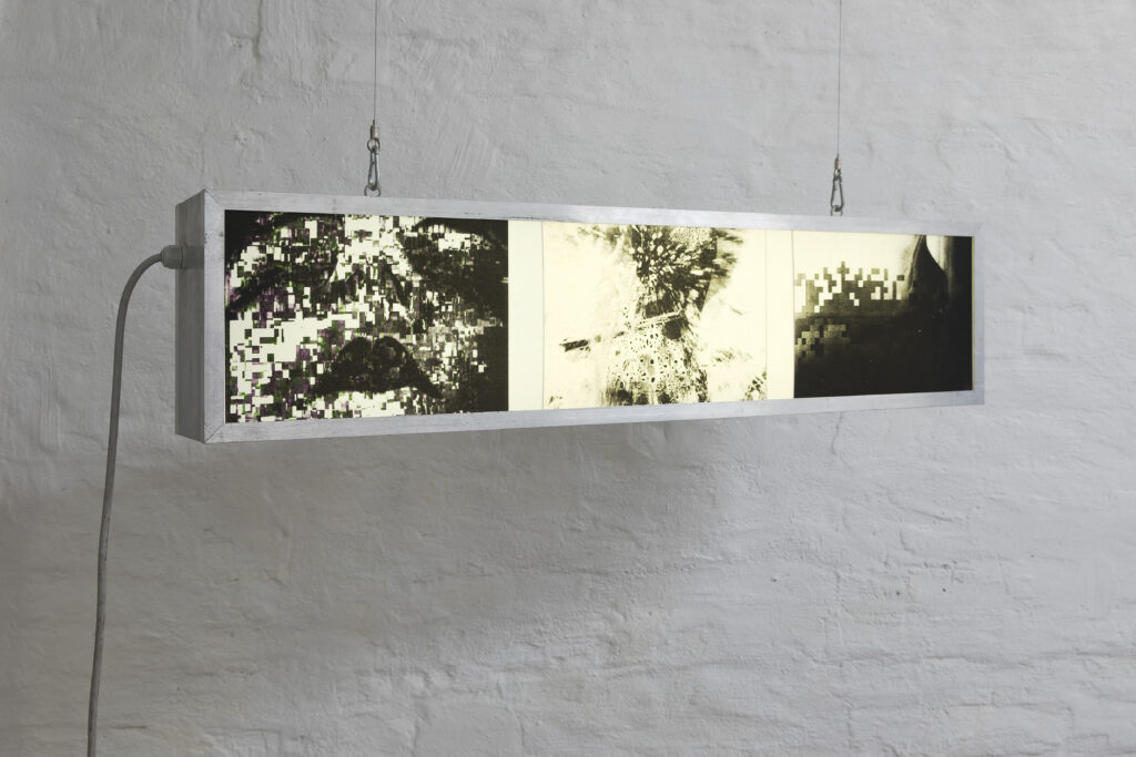 Ausstellungsansicht, „Frozen Frame / Turning Frame“, Pinacoteca, Wien, 2015. Lydia Nsiah, „xx“. Foto: Thomas Ries