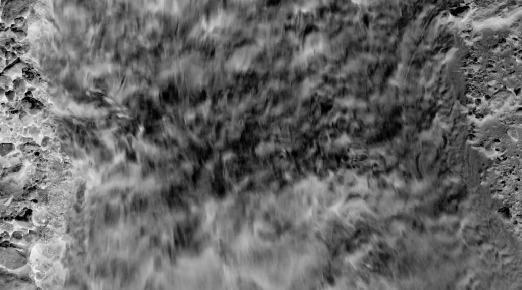 Daphne-image extractive_web04