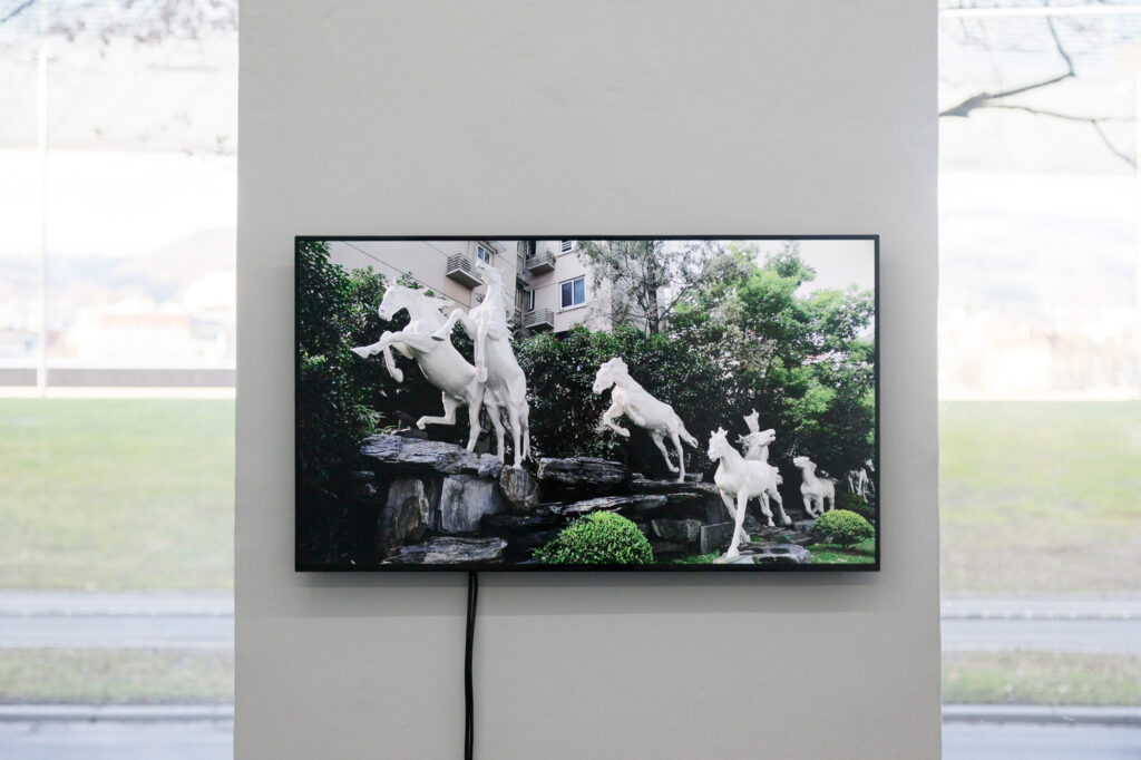 Lisa Truttmann, „The Courser“, Multimedia Installation, 2018, Installationsansicht Memphis, 2018