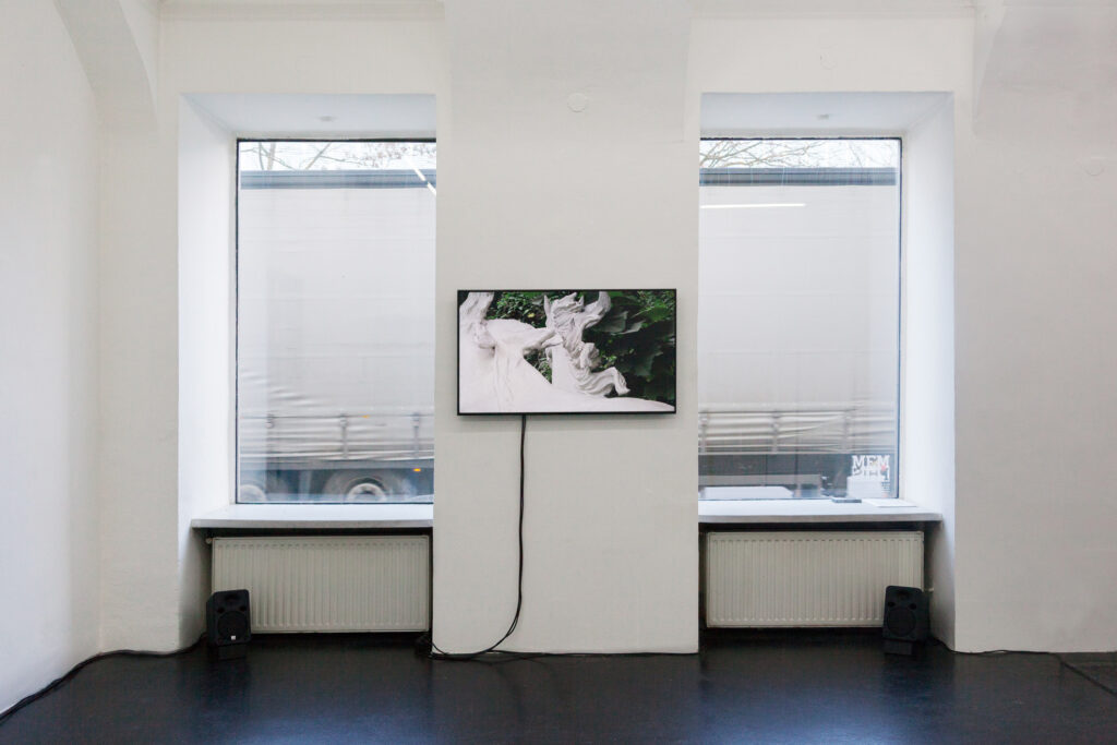 Lisa Truttmann, „The Courser“, Multimedia Installation, 2018, Installationsansicht Memphis, 2018