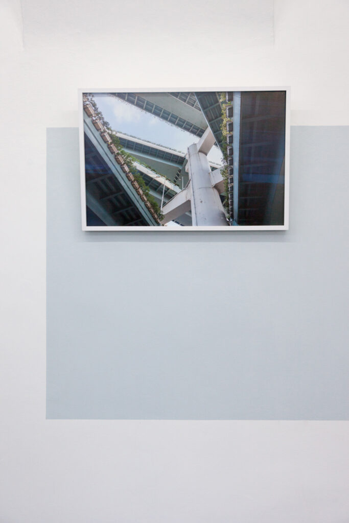 Lisa Truttmann, „The Courser“, Multimedia Installation, 2018, Installationsansicht Memphis, 2018