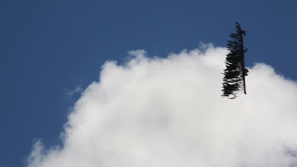 Katharina_Swoboda_untitled