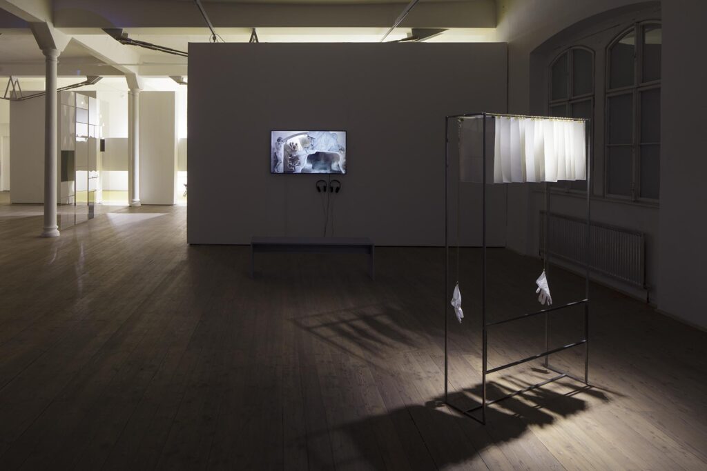 Ausstellungsansicht, The Golden Pixel Cooperative, „search form“, Kunsthalle Exnergasse, 2016, Foto: Wolfgang Thaler