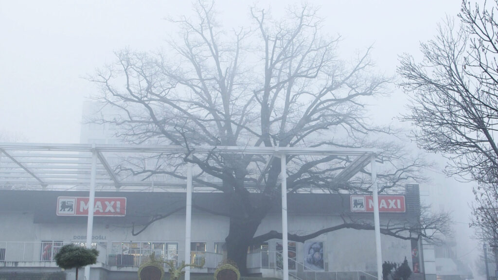 Dušan Rodić, Filmstill aus „The Soul is in the Breath“, 2020