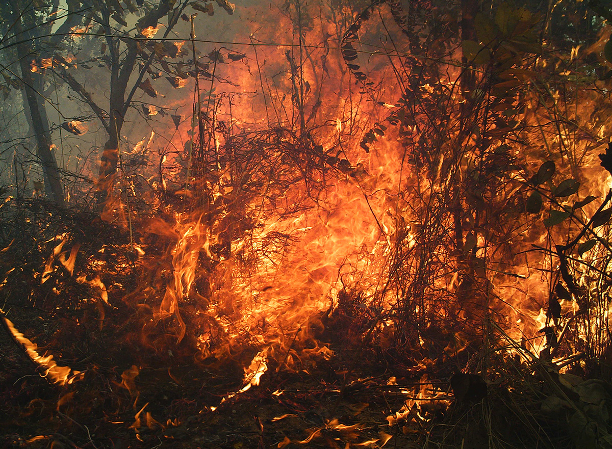 Enar de Dios Rodríguez, Filmstill aus „Ecotone“, 2022