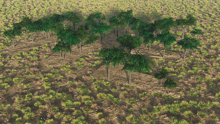 Almut Rink,  Filmstill aus „SOLID GROWTH – A SCENE WITH 2 + 1 SPECIES“, 2012 