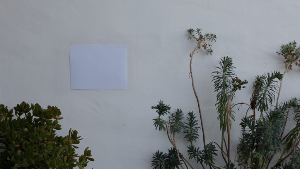 Lisa Truttmann, Filmstill aus „6500”, 2015