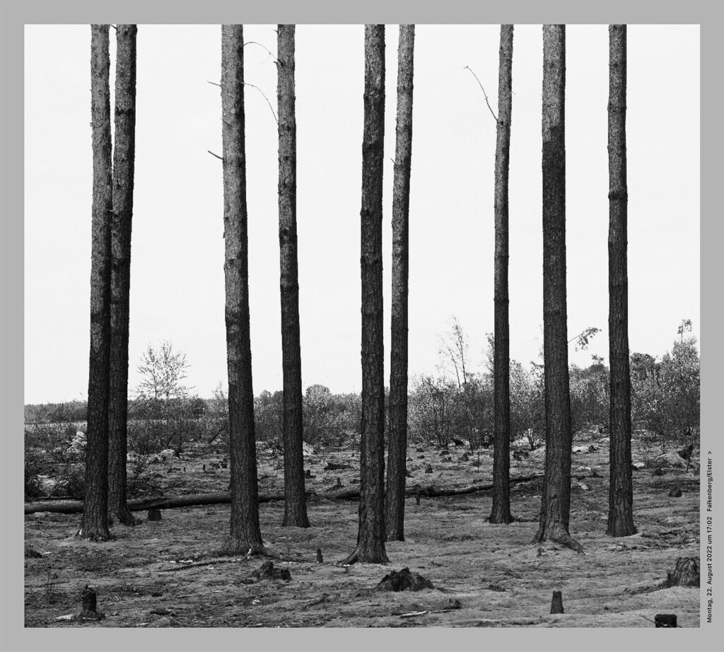 Beate Gütschow, „Resistance,Flood,Fire, Resistance.“, 2025, Publikation © Beate Gütschow, VG-Bild-Kunst, Bonn 2025